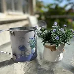 Dalmacija * Biograd Na Moru
