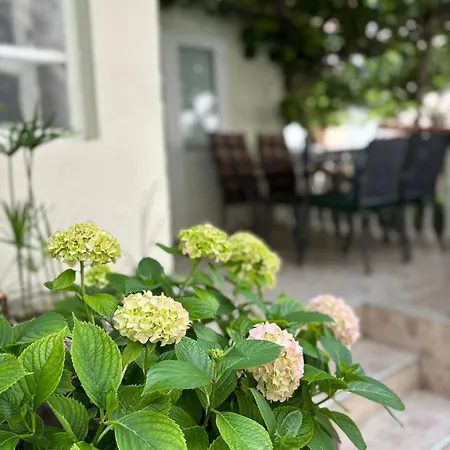Dalmacija Biograd Na Moru