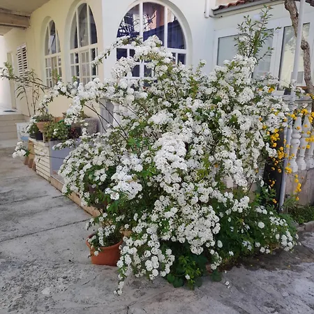 Dalmacija * Biograd na Moru